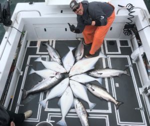 halibut fishing tour alaska